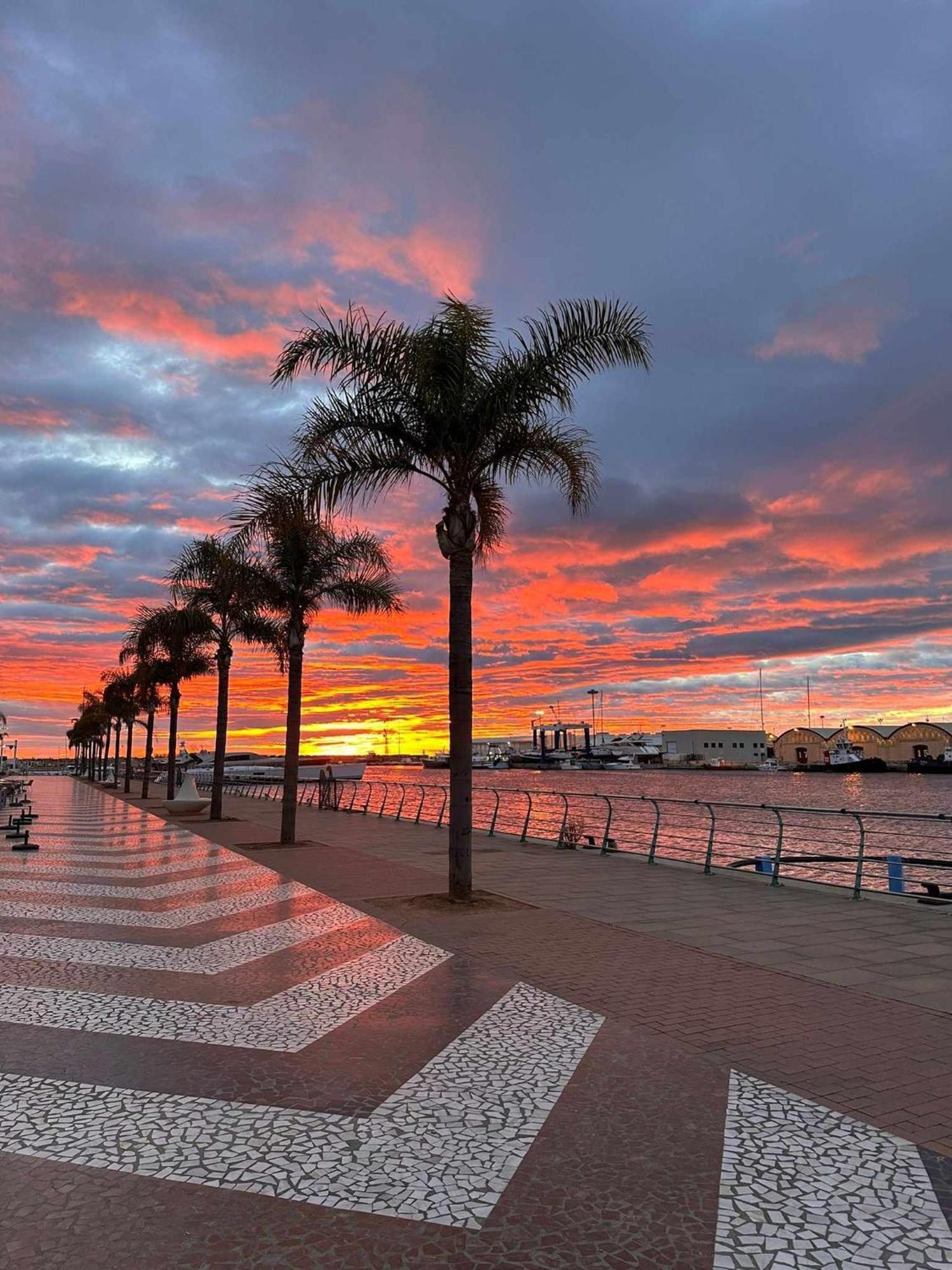 Apartament Ambar Gandia Playa-Grao Con Piscina Parking Ideal Para Familias Eksteriør bilde
